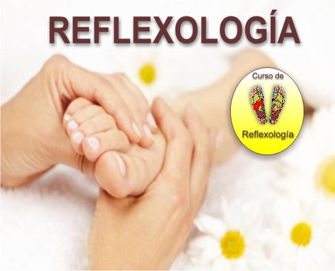 Reflexología Profesional